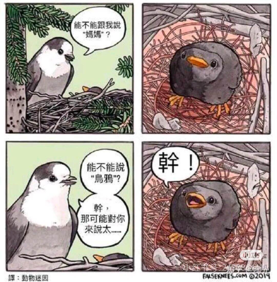 能不能跟我锐“媽媽”？能不能说“鸦”？翰，那可能封你来太小红