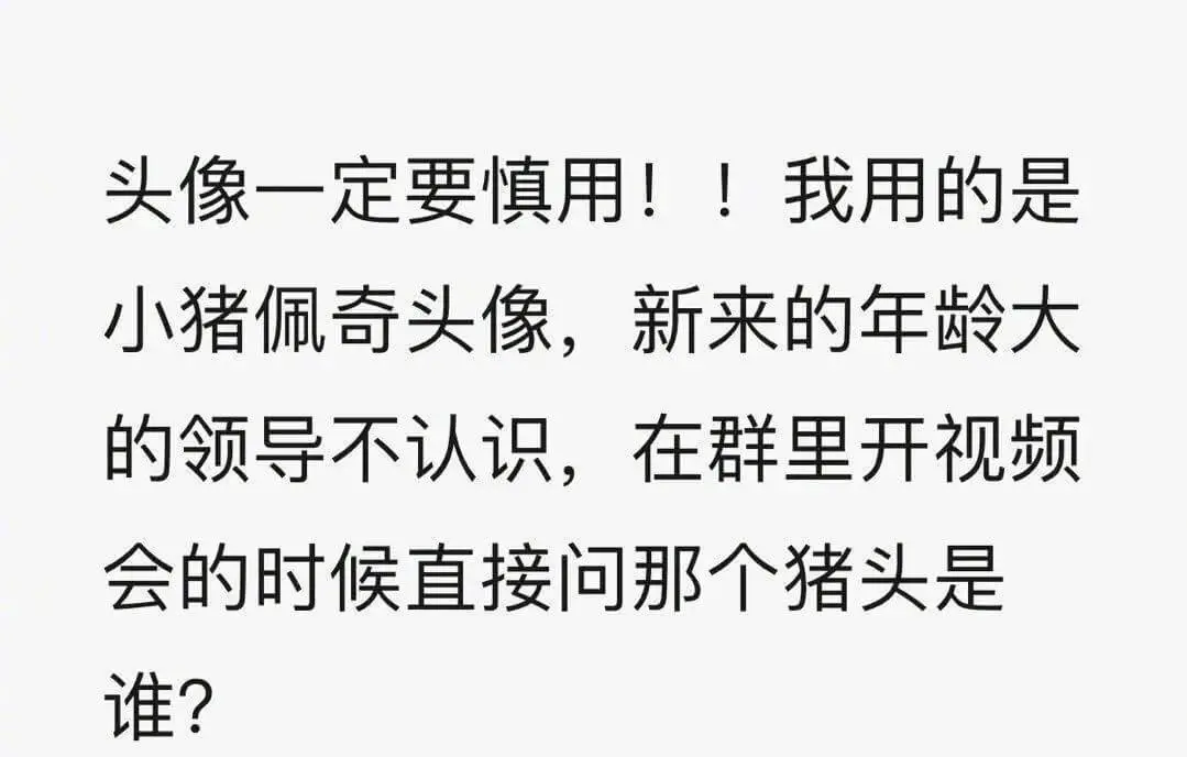 头像一定要慎用!!我用的是小猪佩奇头像,新来的年龄大的领导不