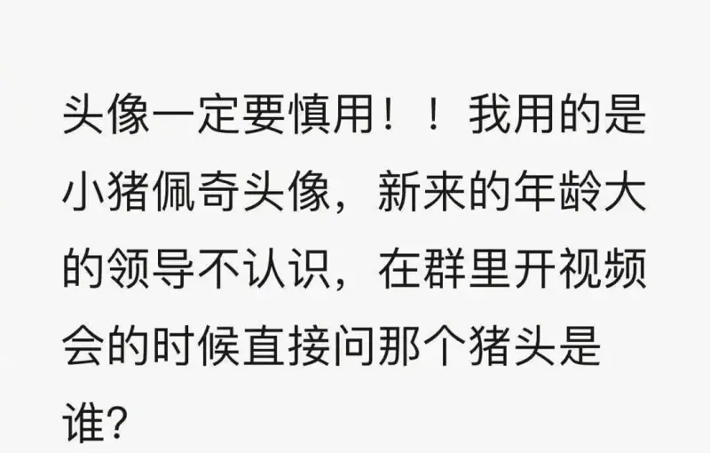 头像一定要慎用!!我用的是小猪佩奇头像,新来的年龄大的领导不