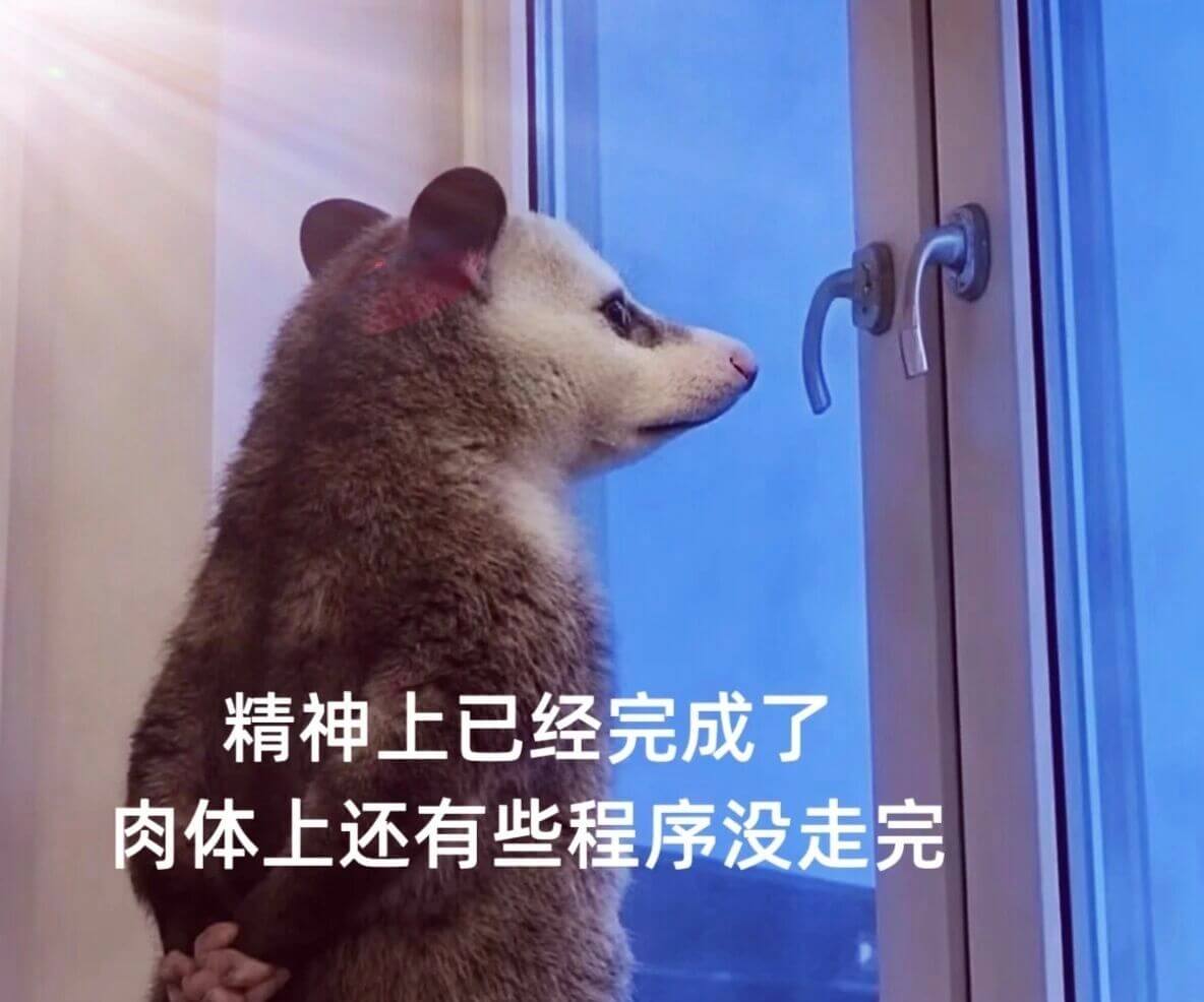 精神上已经完成了，肉体上还有些程序没走完