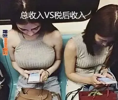 总收入VS税后收入译制：oomeme