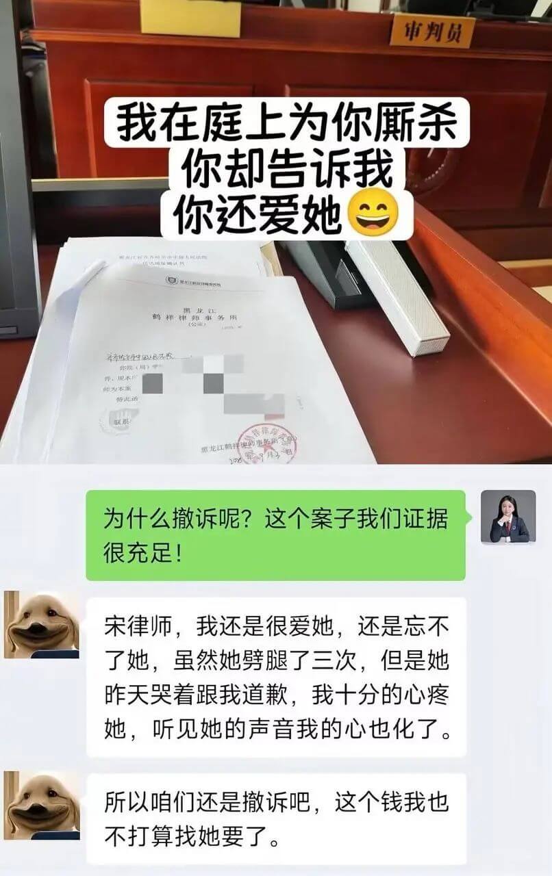 审判员我在庭上为你厮杀你却告诉我你还爱她为什么撤诉呢？这个案