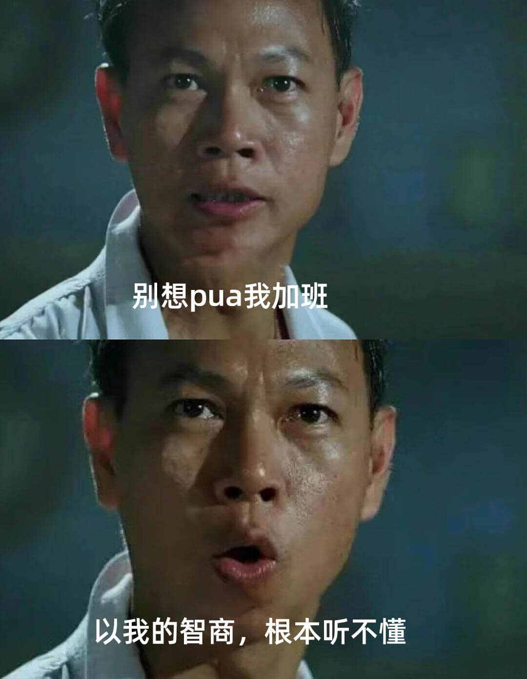 别想pua我加班，以我的智商，根本听不懂。