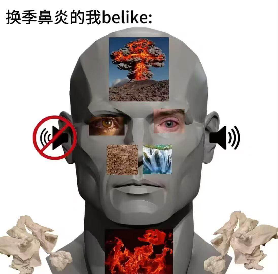 换季鼻炎的我belike:
