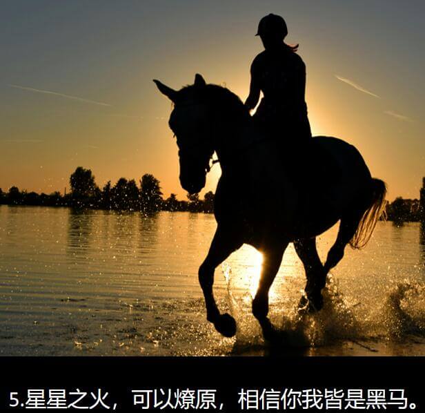 5.星星之火,可以燎原,相信你我皆是黑马