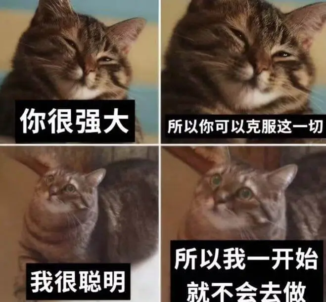 你很强大我很聪明所以你可以克服这一切所以我一开始就不会去做