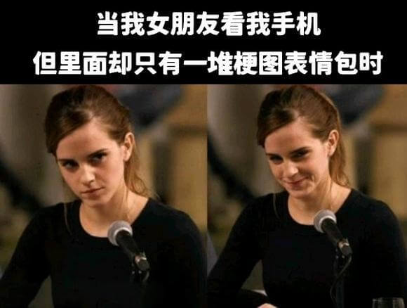 当我女朋友看我手机，但里面却只有一堆梗图表情包时