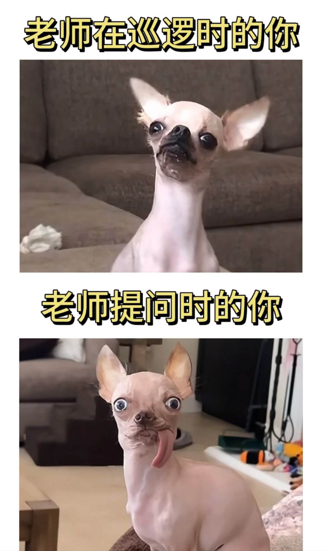 老师在巡逻时的你老师提问时的你