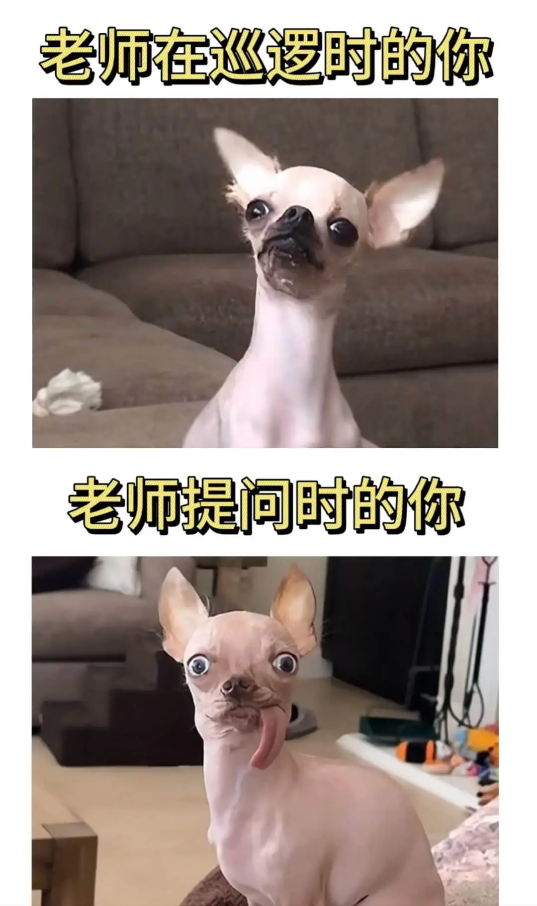 老师在巡逻时的你老师提问时的你