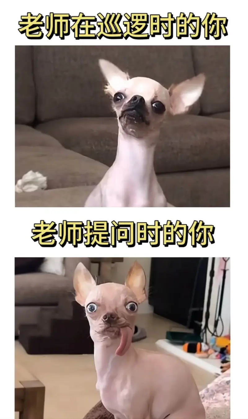 老师在巡逻时的你老师提问时的你