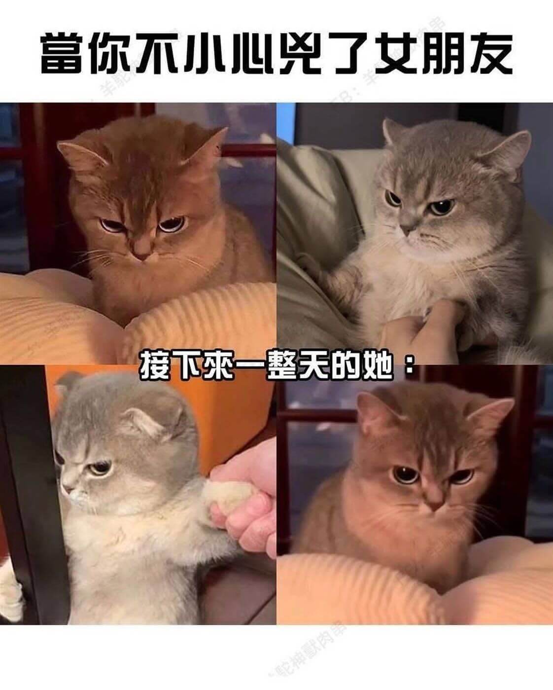 掌你不小心晓了女朋友接下来一整天的她神默肉