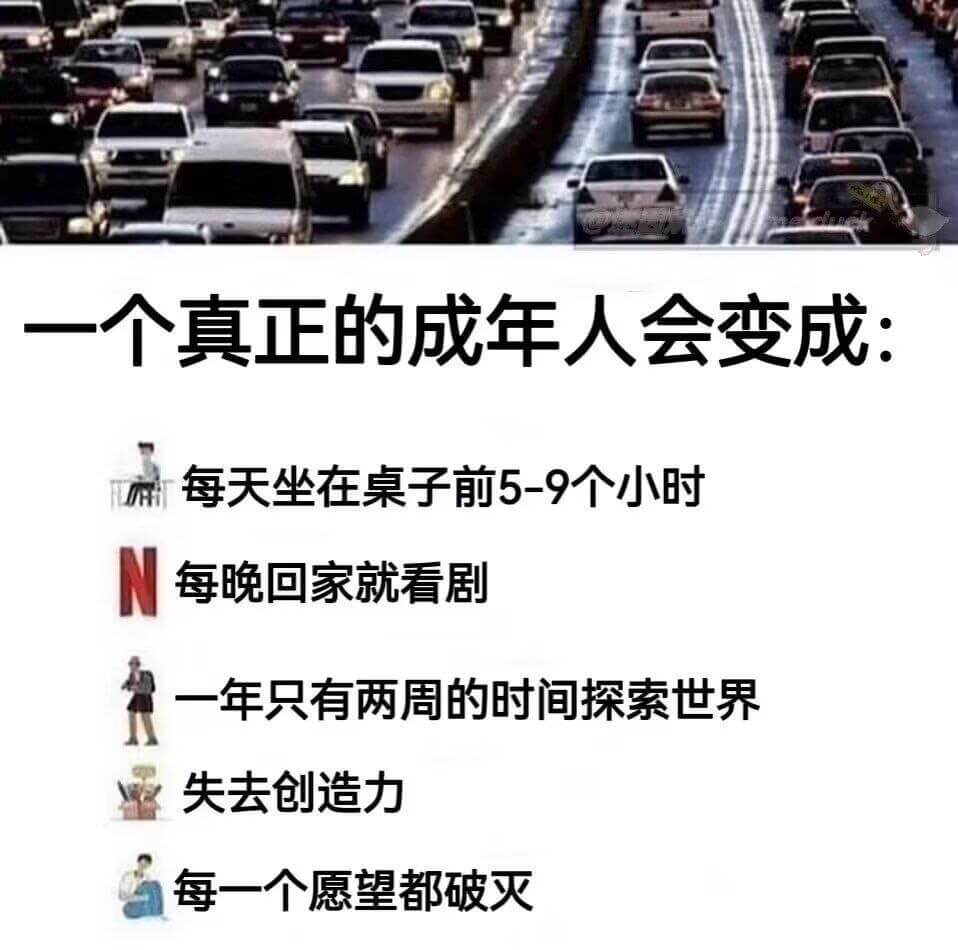 一个真正的成年人会变成：每天坐在桌子前5-9个小时，每晚回家