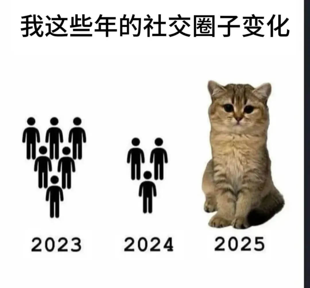 我这些年的社交圈子变化202320242025