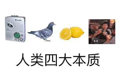 人类四大本质
