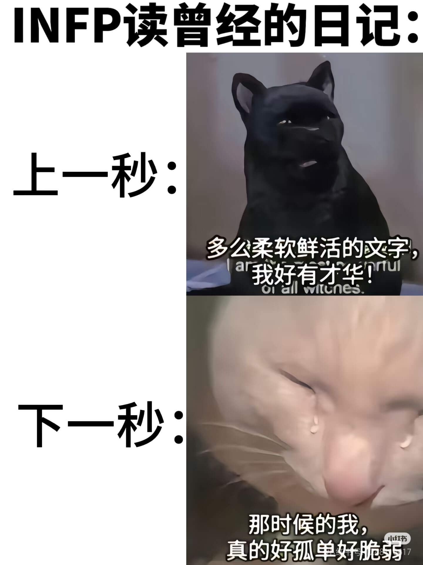 INFP读曾经的日记:上一秒:多么柔软鲜活的文字,下一秒:那