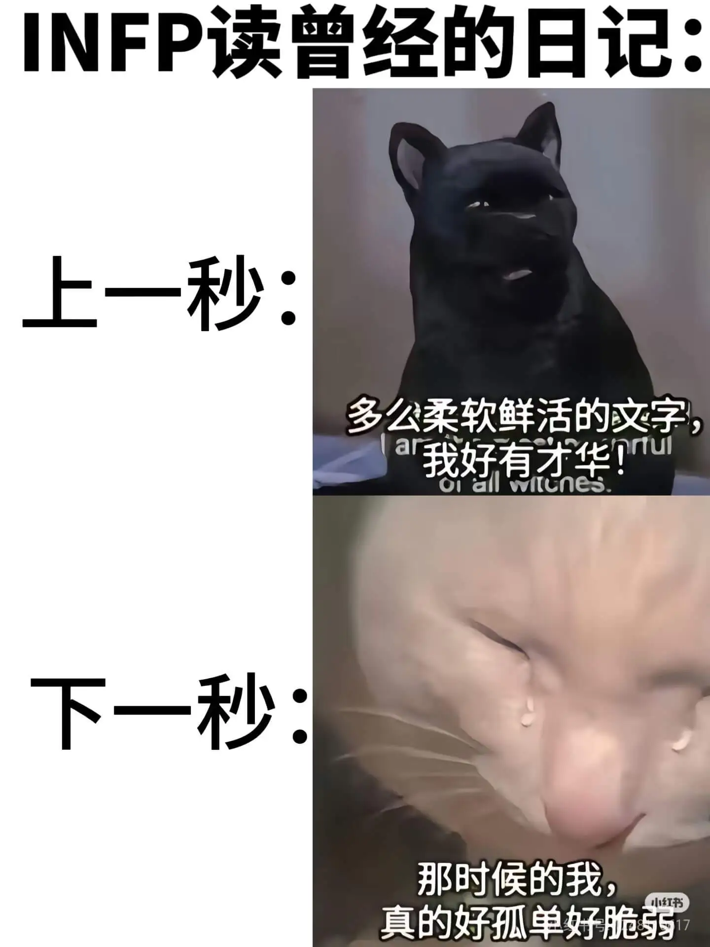 INFP读曾经的日记:上一秒:多么柔软鲜活的文字,下一秒:那