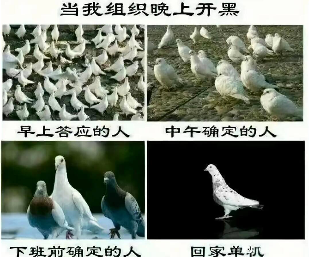 当我组织晚上开黑早上答应的人中午确定的人下班前确定的人回家单