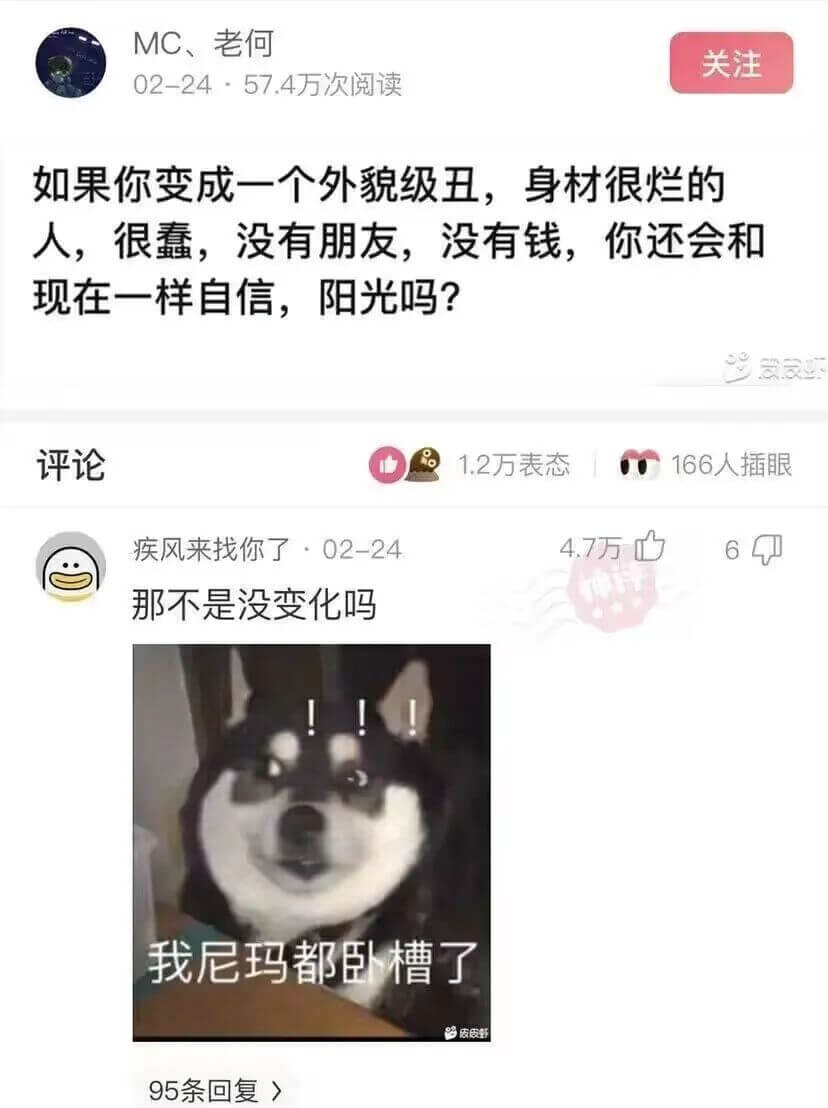 MC、老何如果你变成一个外貌级丑，身材很烂的人，很蠢，没有朋