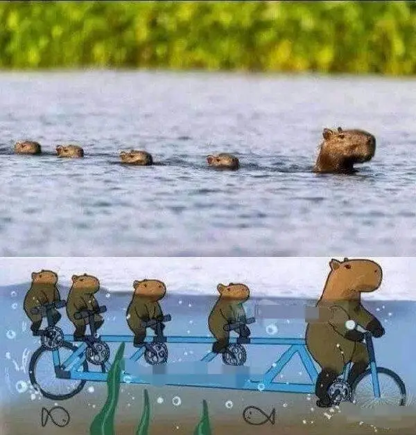 梗图