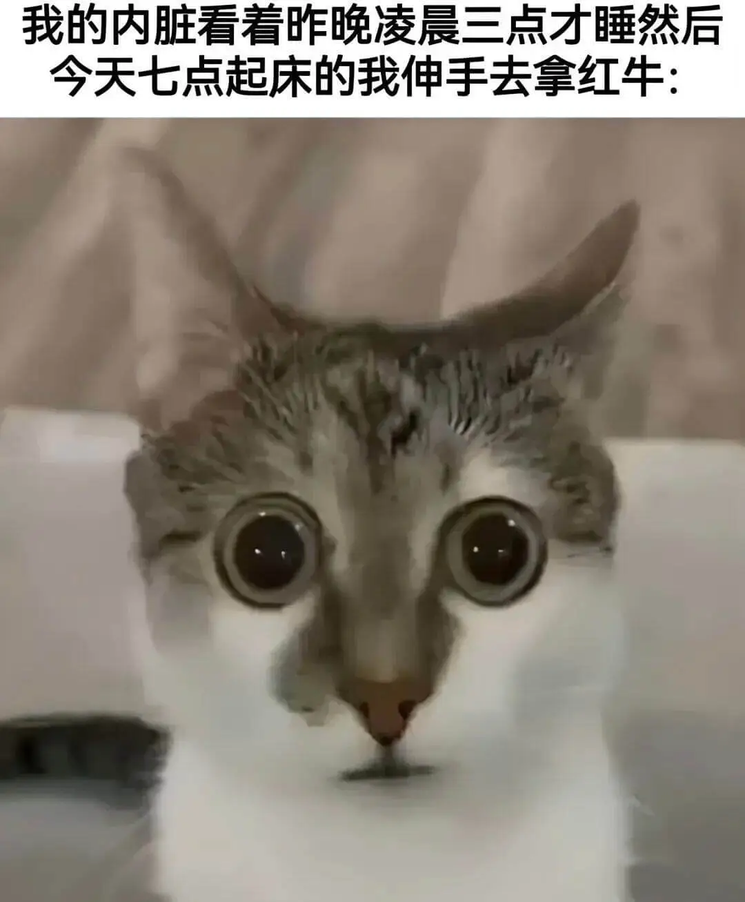 我的内脏看着昨晚凌晨三点才睡，然后今天七点起床的我，伸手去拿