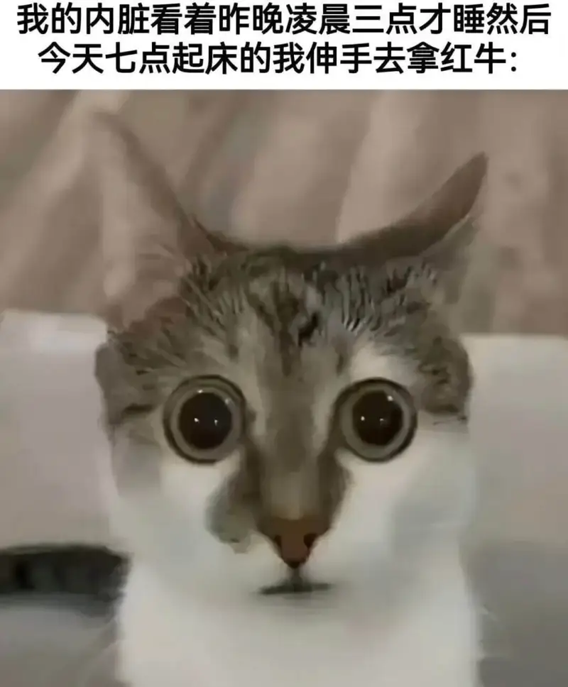 我的内脏看着昨晚凌晨三点才睡，然后今天七点起床的我，伸手去拿