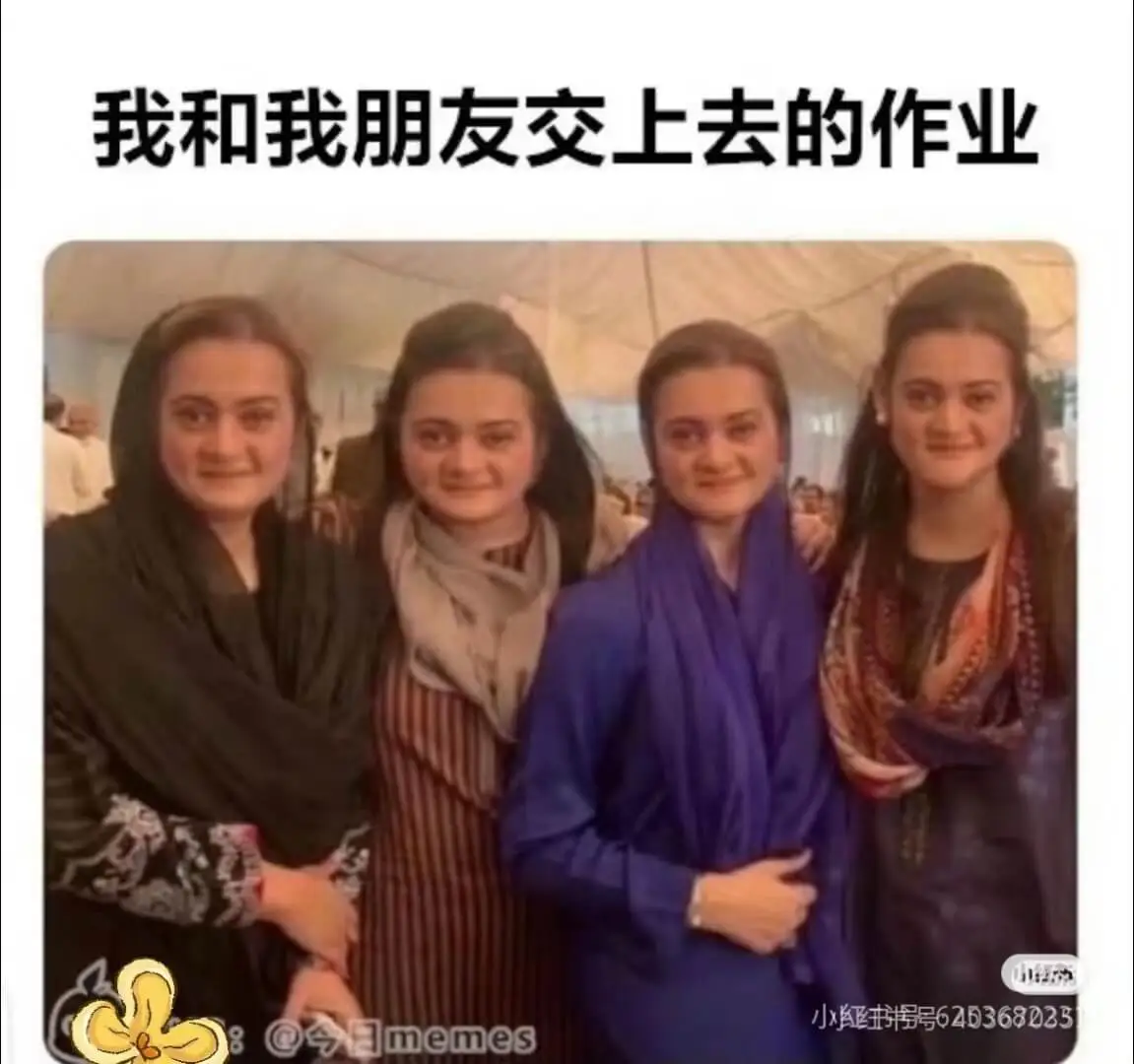我和我朋友交上去的作业小红书号6253680258今日mem