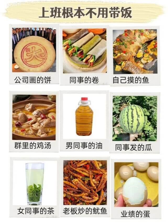上班根本不用带饭大公司画的饼同事的卷自己摸的鱼群里的鸡汤男同
