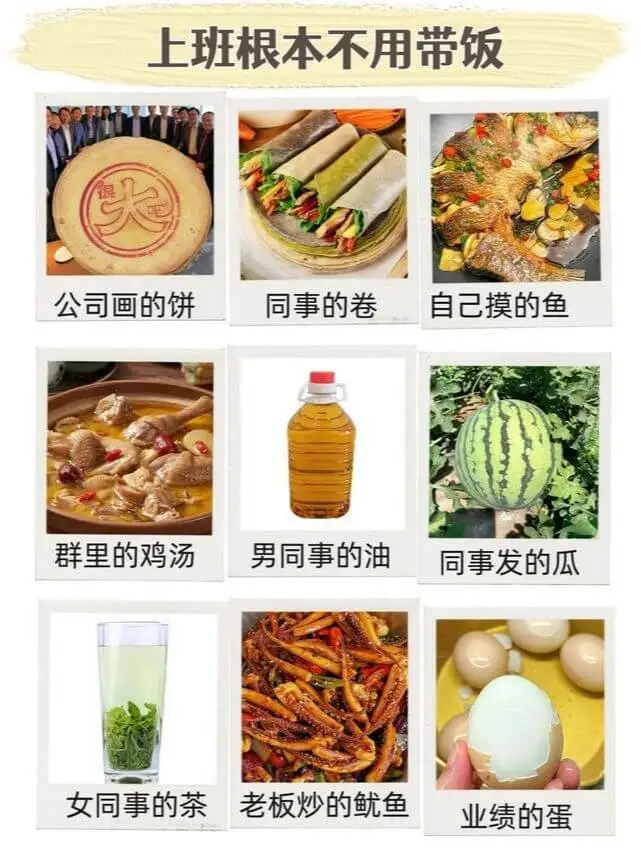 上班根本不用带饭大公司画的饼同事的卷自己摸的鱼群里的鸡汤男同
