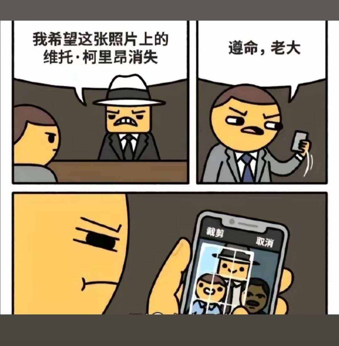 我希望这张照片上的维托·柯里昂消失。遵命，老大。