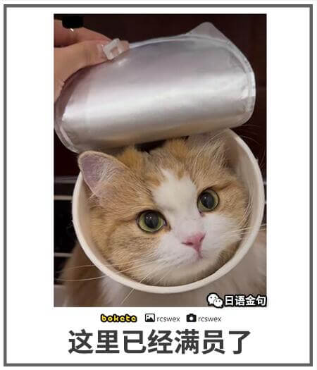 日语金包boketercswexDrcswex这里已经满员了