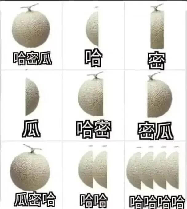 哈哈密瓜密瓜哈密密瓜瓜密哈哈哈哈哈哈哈