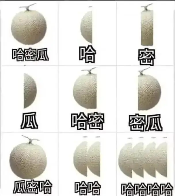 哈哈密瓜密瓜哈密密瓜瓜密哈哈哈哈哈哈哈