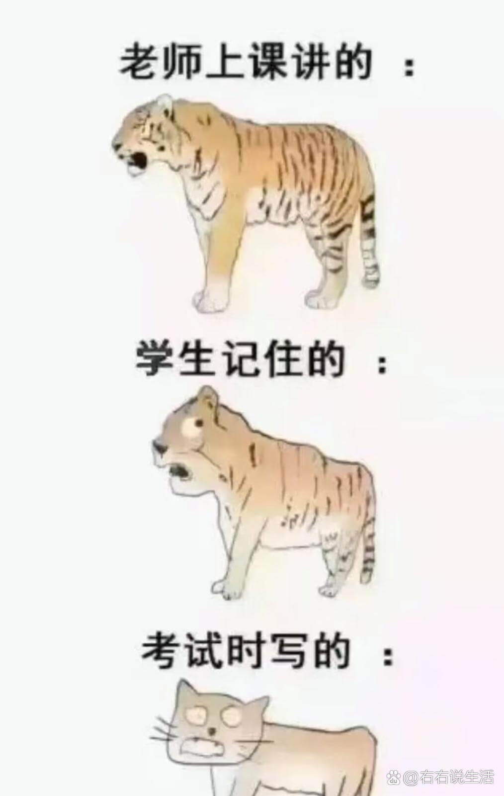 老师上课讲的学生记住的考试时写的@右右说生活