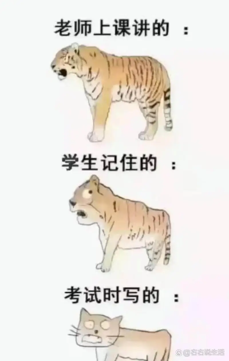 老师上课讲的学生记住的考试时写的@右右说生活