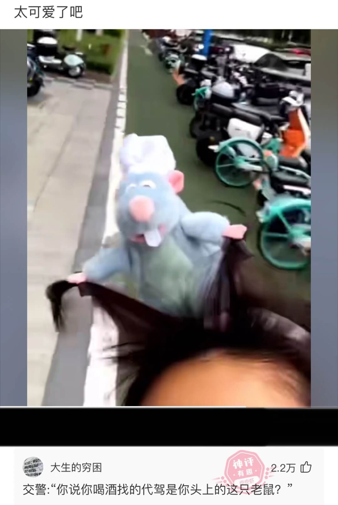 太可爱了吧大生的穷困2.2万交警：“你说你喝酒找的代驾是你头