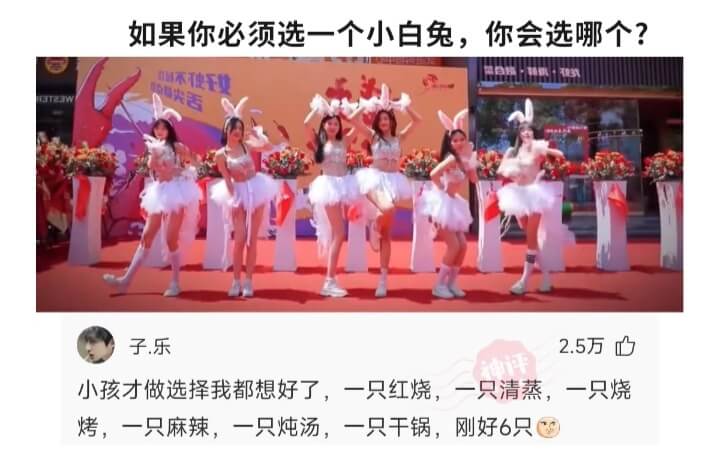 如果你必须选一个小白兔，你会选哪个?不使子.乐2.5万小孩才
