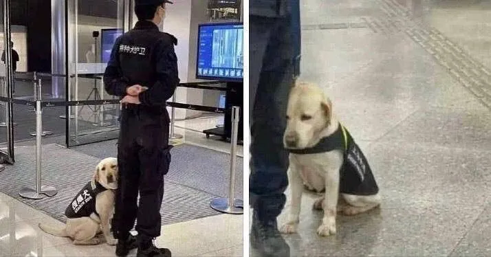上班第一天