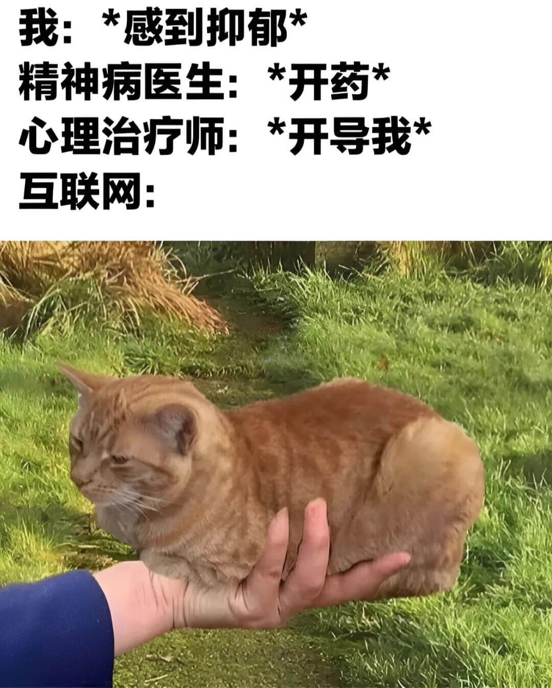 我：*感到抑郁*精神病医生：*开药*心理治疗师：*开导我*互