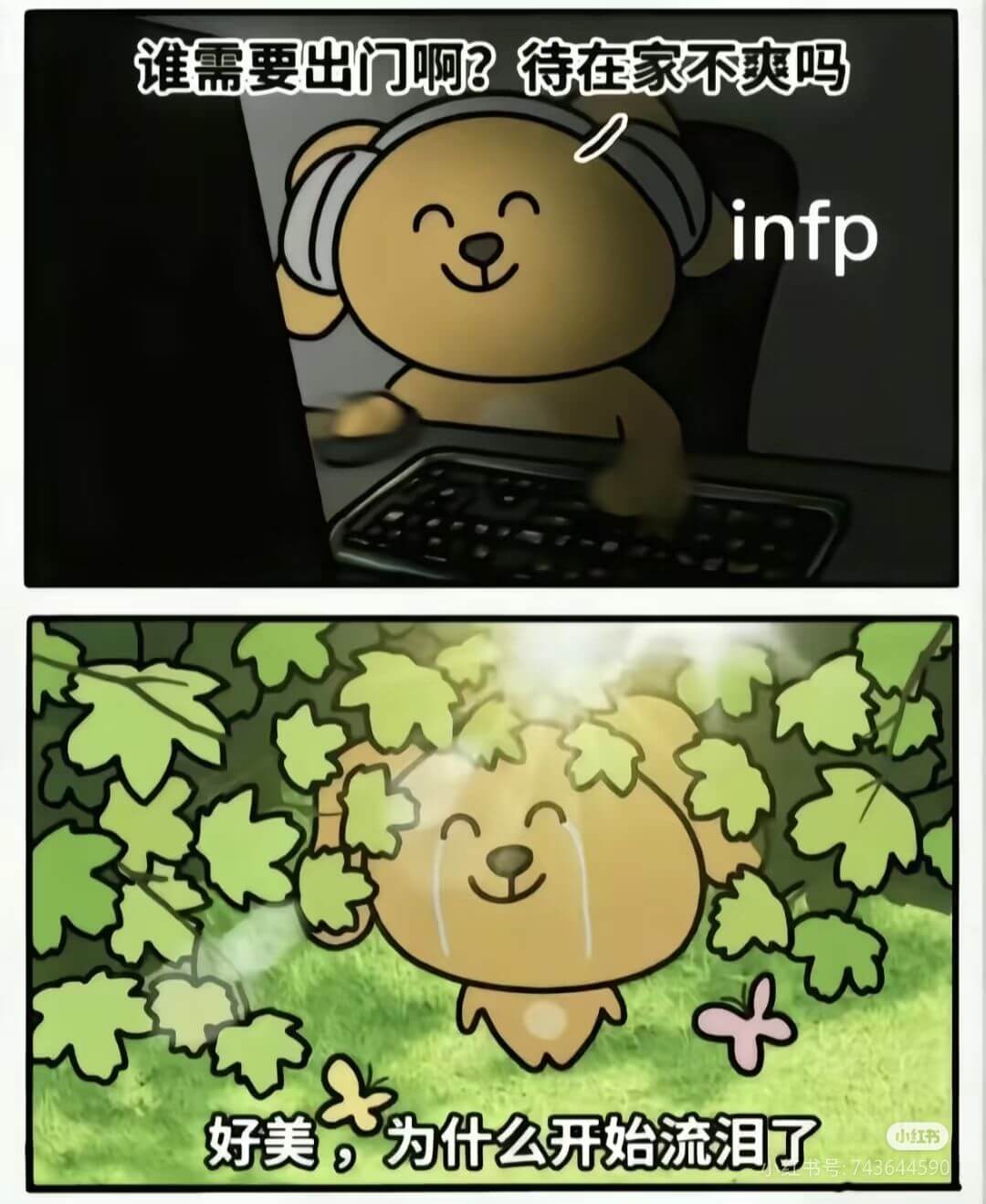 谁需要出门啊?待在家不爽吗infp好美小红书号:743644