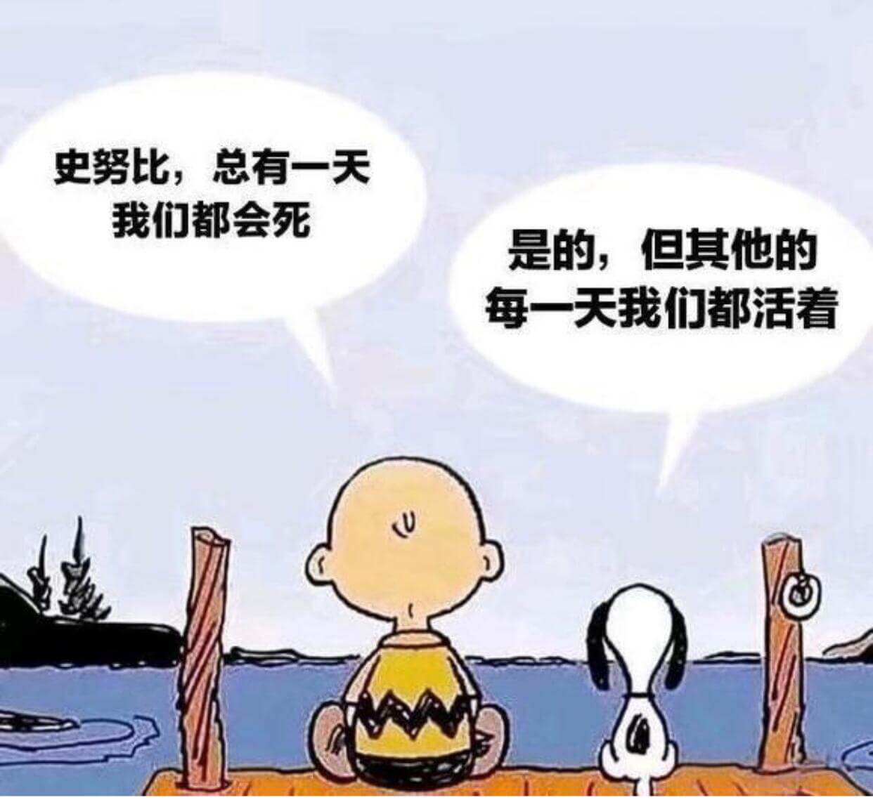 史努比，总有一天我们都会死是的，但其他的时候每一天我们都活着