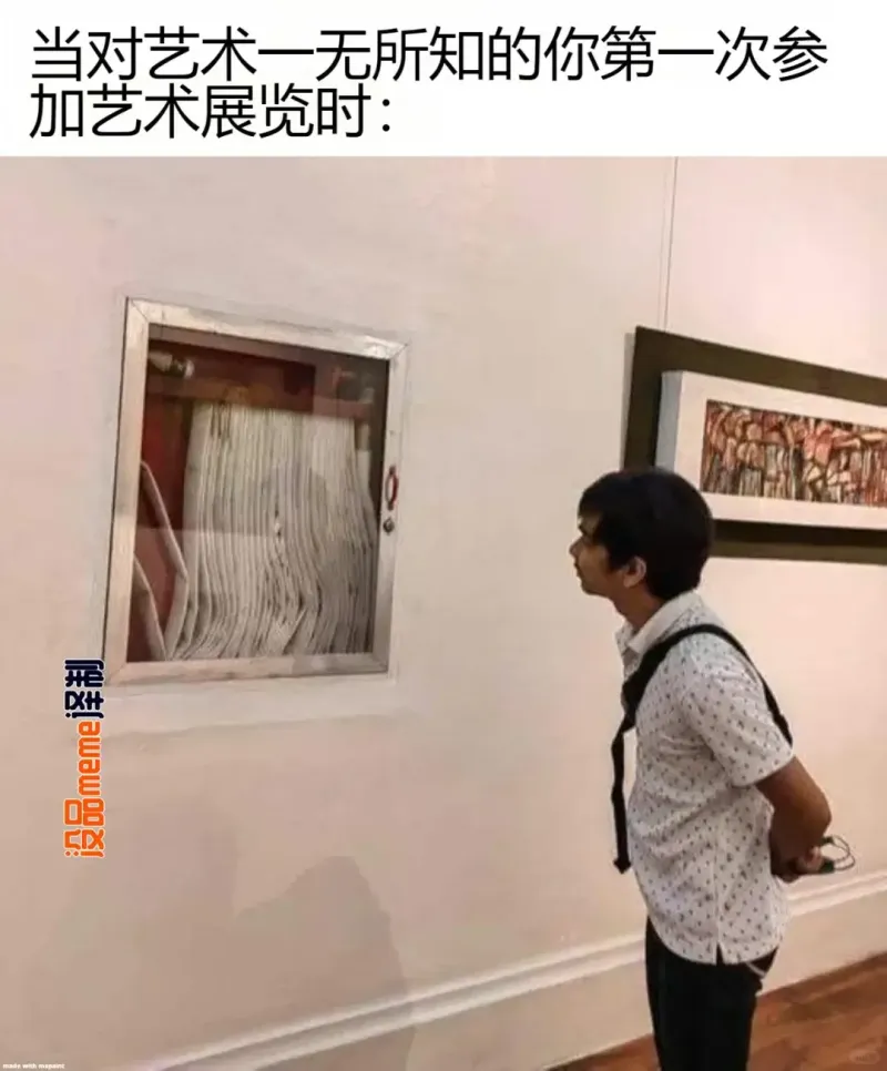 当对艺术一无所知的你第一次参加艺术展览时：没品meme译制