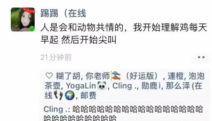 踢踢(在线)人是会和动物共情的，我开始理解鸡每天早起然后开始