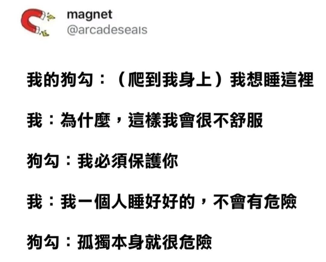 magnet@arcadeseals我的狗勾：(爬到我身上)