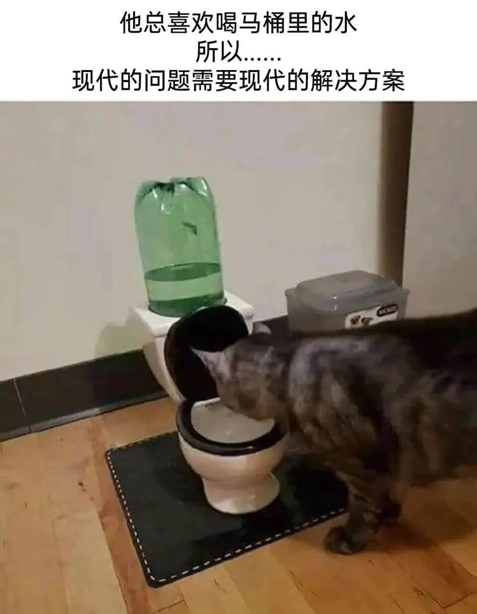 他总喜欢喝马桶里的水，所以……现代的问题需要现代的解决方案。