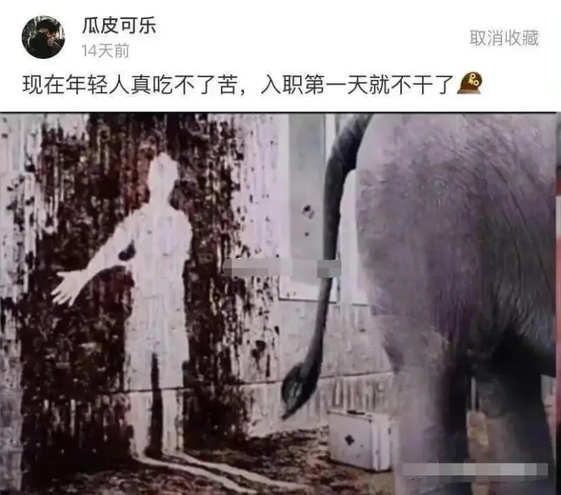 瓜皮可乐14天前现在年轻人真吃不了苦，入职第一天就不干了