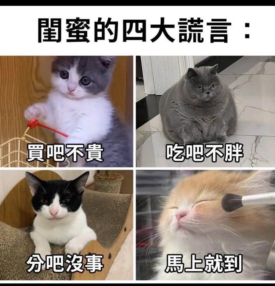 刀蜜的四大諾言：實吧不贵吃吧不胖分吧没事馬上就到