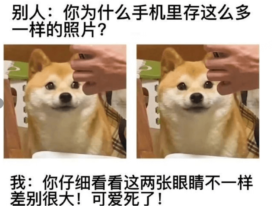 别人：你为什么手机里存这么多一样的照片？我：你仔细看看，这两