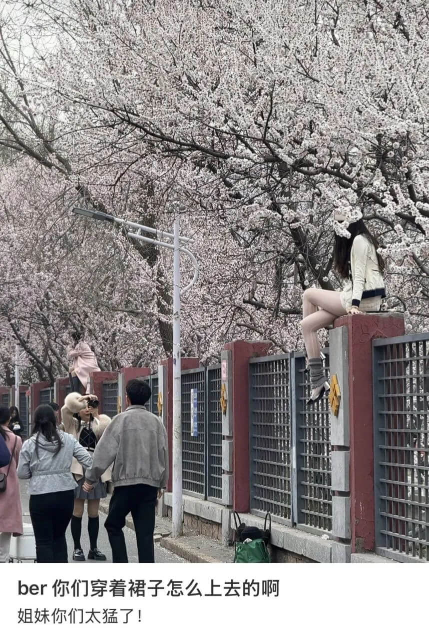 你们穿着裙子怎么上去的啊？姐妹，你们太猛了！
