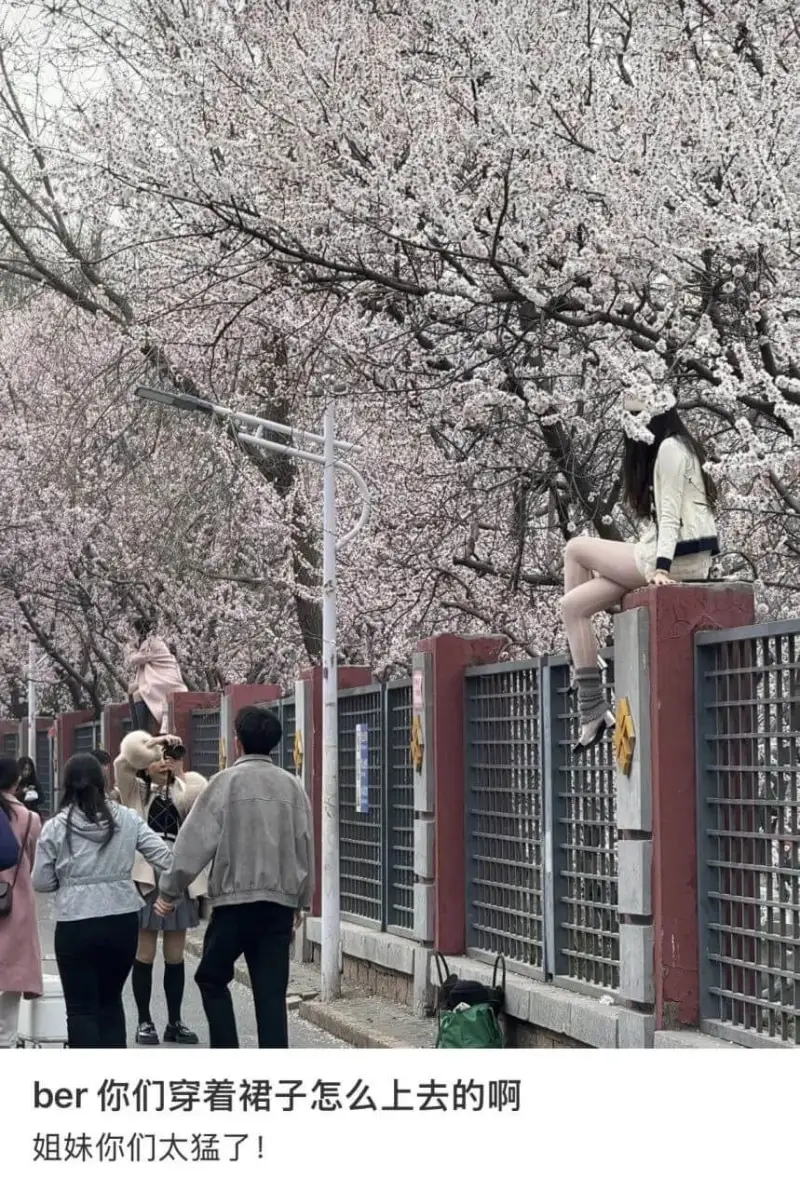 你们穿着裙子怎么上去的啊？姐妹，你们太猛了！