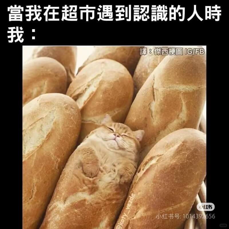 當我在超市遇到認識的人時我:譯:傑西梗圖IG/FB小红书号: